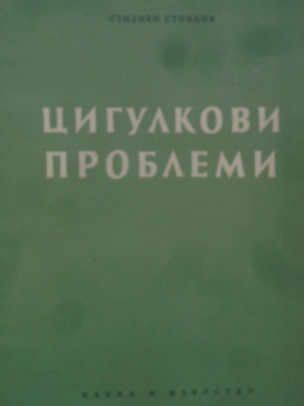 Цигулкови проблеми, Стилиян Стоянов