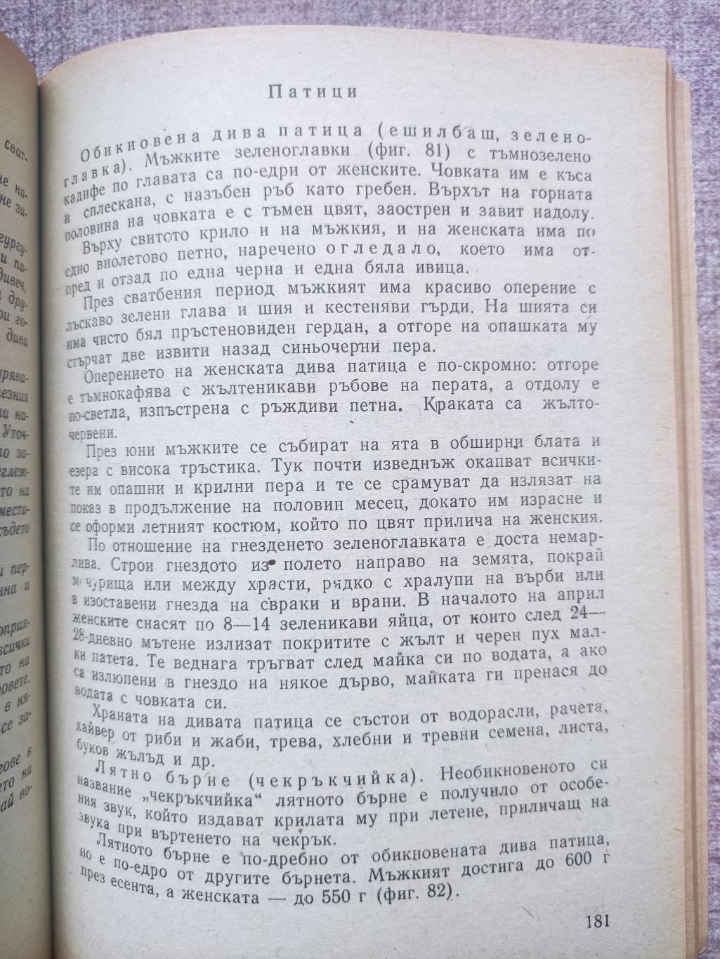 За младия ловец и риболовец, Б. Арнаудов , Г. Оцетов
