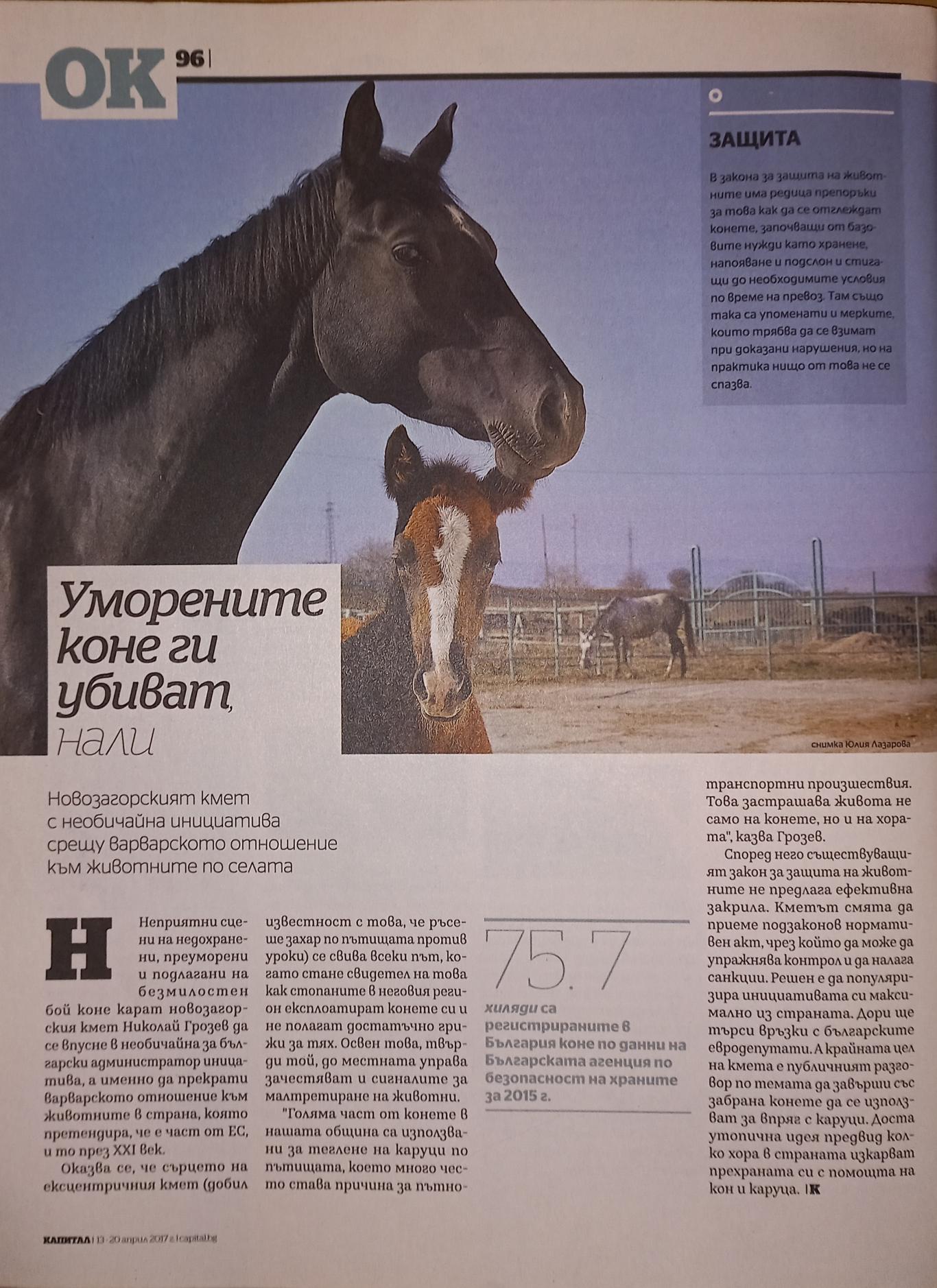Капитал.Брой 15 / 2017, Колектив